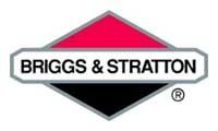 В результате наложения крупного штрафа чистые доходы компании Briggs & Stratton за первый квартал 2010 года составили 24.1 млн. долларов