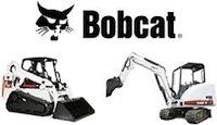 Bobcat попался в сеть